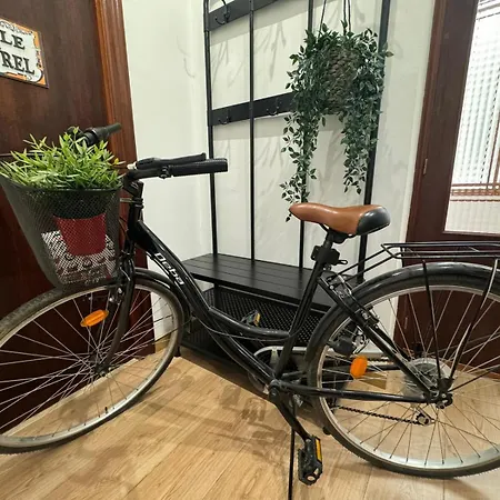 Bike Apartment Next To Cathedral And Laurel By Apartamentos Logrono Org Exterior photo