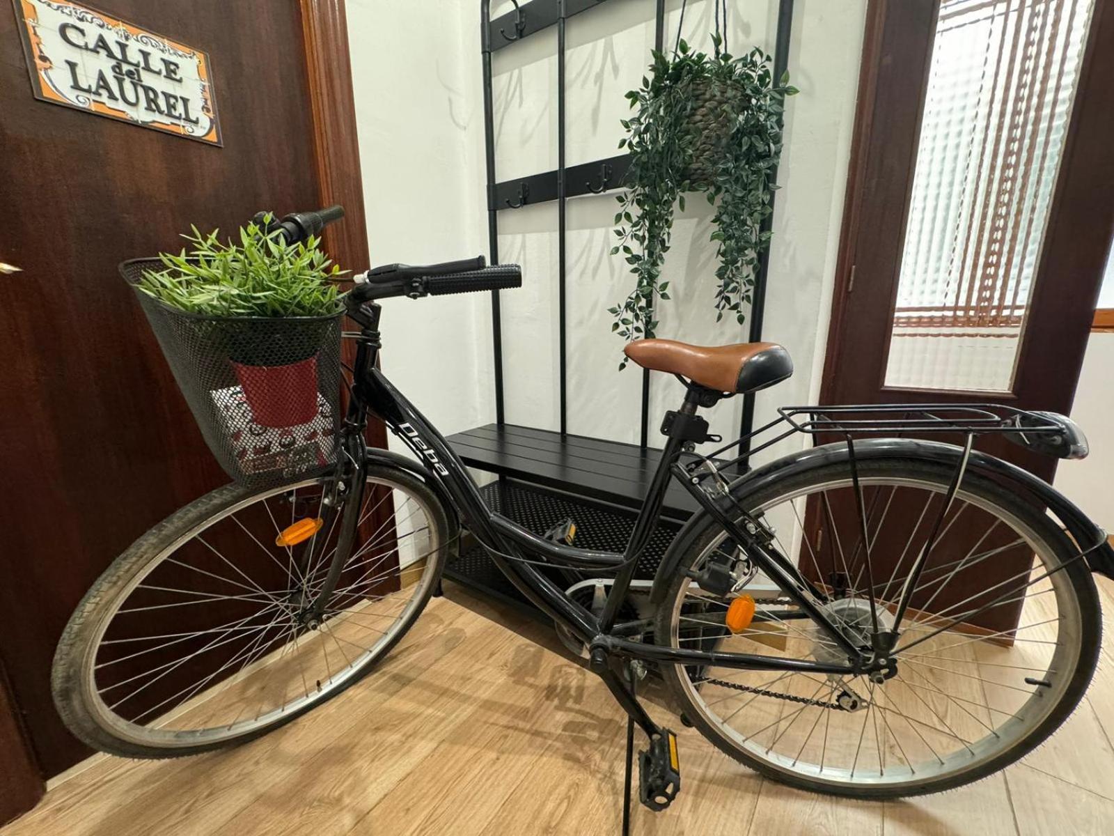 Bike Next To Cathedral And Laurel By Org * Logrono